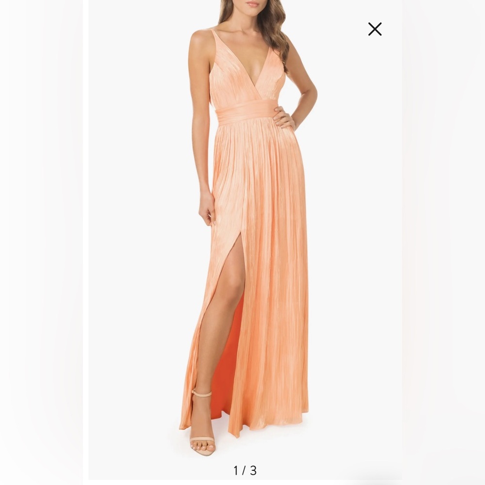 Dress the Population Danae Crinkle A-Line Gown in Peach